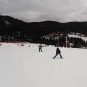 2020_31.01. - 2.02. Pololetky