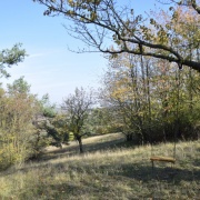 2020_Houpačky