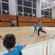 2020_23.01. Přátelák v Bojanovicích