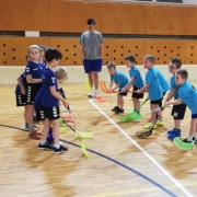 2020_23.01. Přátelák v Bojanovicích