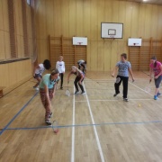 Badminton 