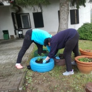 Brigády 2019