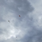 Drakiáda na Bukovanském mlýně 2016