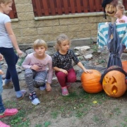 Dýně 2018