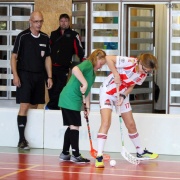 Florbal http://redymar.rajce.idnes.cz