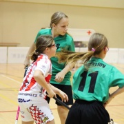 Florbal http://redymar.rajce.idnes.cz