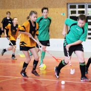 Florbal http://redymar.rajce.idnes.cz
