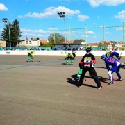 Hokejbal
