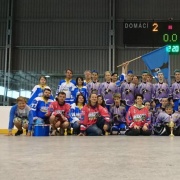 Hokejbal