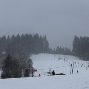 Jarňáky 2019