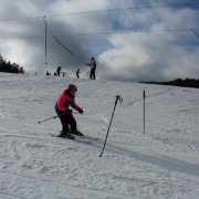 Jarňáky 2019