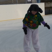 Karneval na ledě