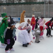 Karneval na ledě