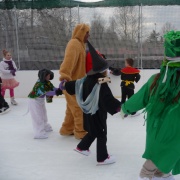 Karneval na ledě