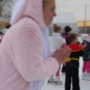 Karneval na ledě
