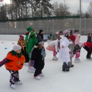 Karneval na ledě