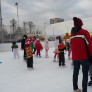 Karneval na ledě