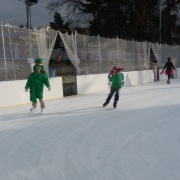Karneval na ledě