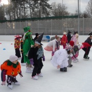 Karneval na ledě