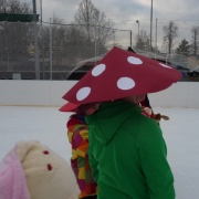 Karneval na ledě