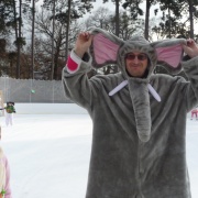Karneval na ledě