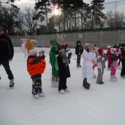 Karneval na ledě