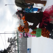 Karneval na ledě