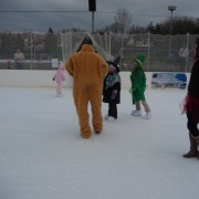 Karneval na ledě