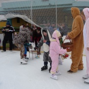 Karneval na ledě