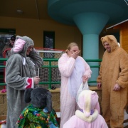 Karneval na ledě