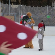 Karneval na ledě