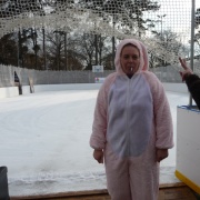 Karneval na ledě