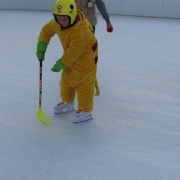 Karneval na ledě 2019