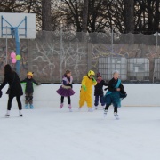 Karneval na ledě 2019