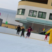 Karneval na ledě 2019