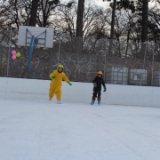 Karneval na ledě 2019