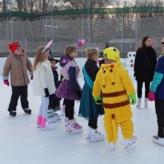 Karneval na ledě 2019
