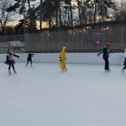 Karneval na ledě 2019