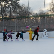 Karneval na ledě 2019