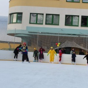 Karneval na ledě 2019