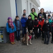 Laser game Brno
