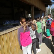Paintball