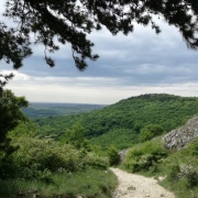 Pálava 2018