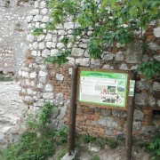 Pálava 2018