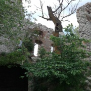 Pálava 2018