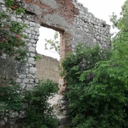 Pálava 2018