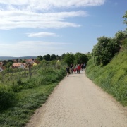Pálava 2018