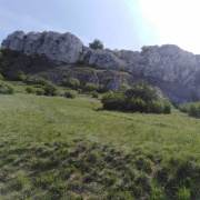 Pálava 2019