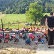III. pobytový tábor 2019 - Cesta do pravěku