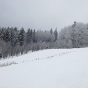 Pololetí a jaráky 2018